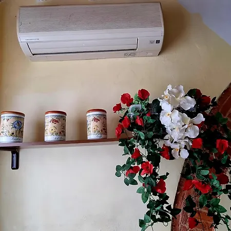Apartment Centro Vicino Pisa In Toscana *